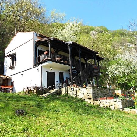 Milkovata Guest House Koshov Екстер'єр фото