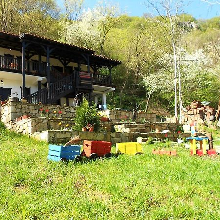 Milkovata Guest House Koshov Екстер'єр фото