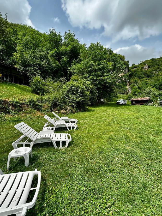 Milkovata Guest House Koshov Екстер'єр фото