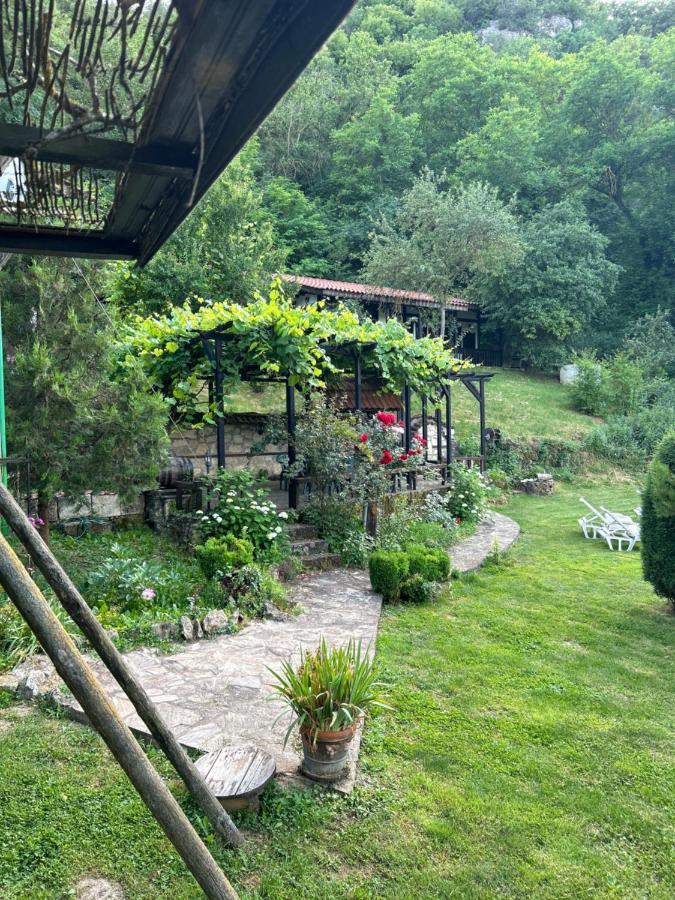 Milkovata Guest House Koshov Екстер'єр фото
