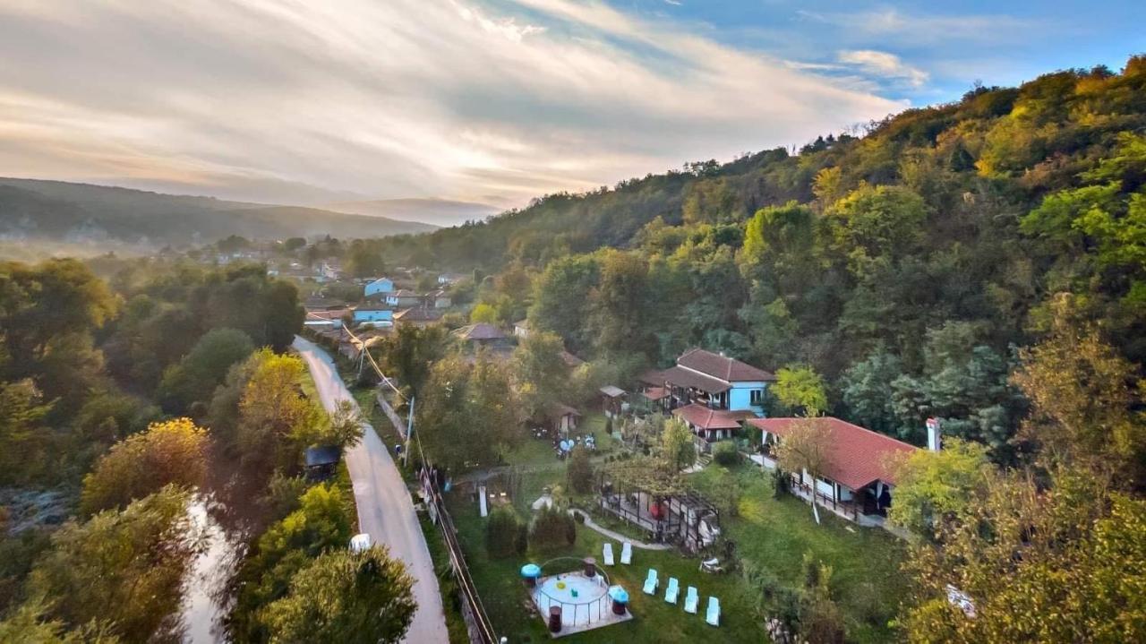 Milkovata Guest House Koshov Екстер'єр фото