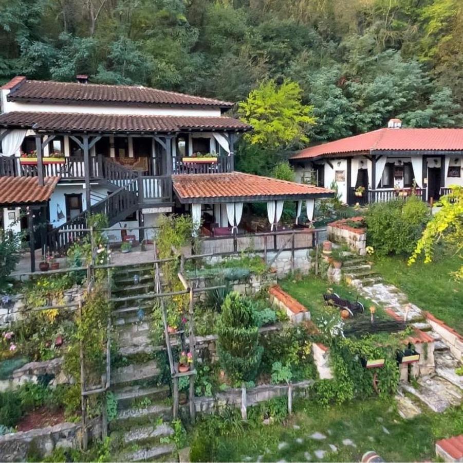 Milkovata Guest House Koshov Екстер'єр фото