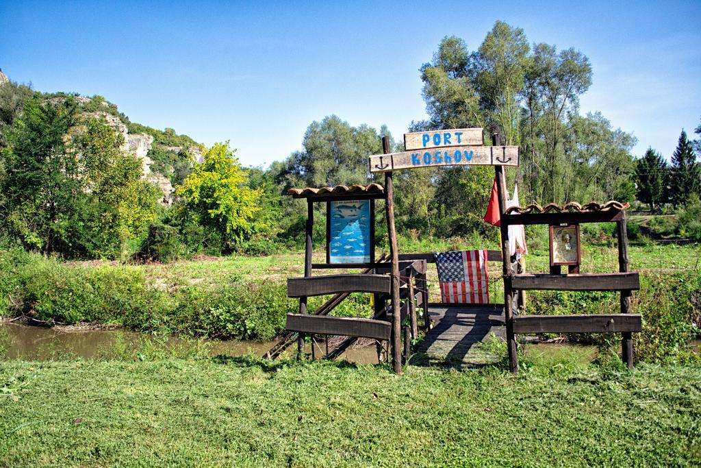 Milkovata Guest House Koshov Екстер'єр фото