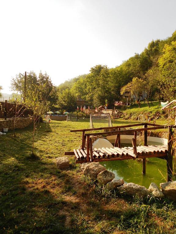 Milkovata Guest House Koshov Екстер'єр фото
