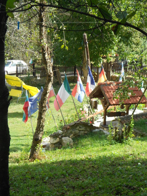 Milkovata Guest House Koshov Екстер'єр фото